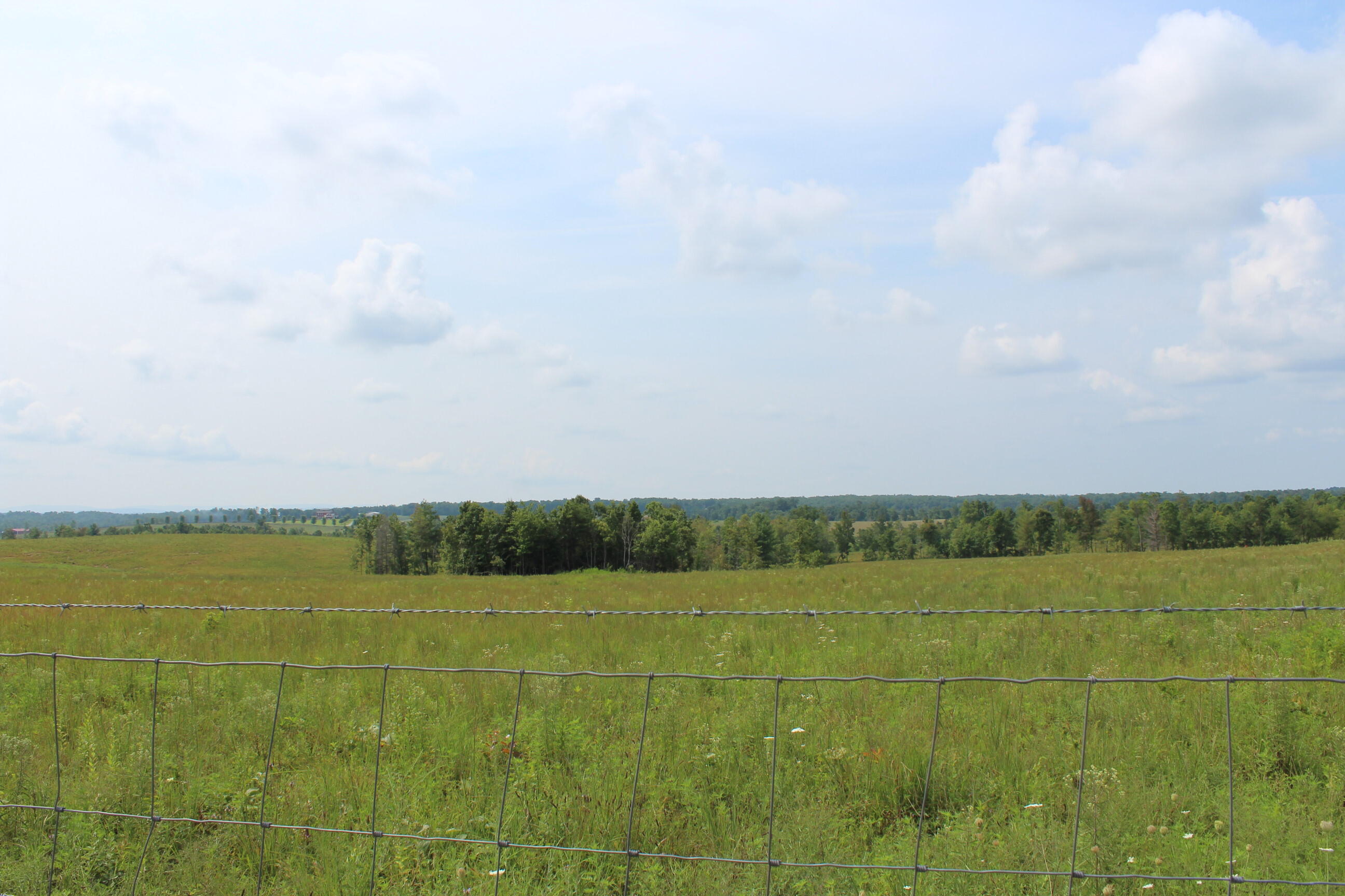 Crestview Lane Clarkrange, TN 38553 - Photo 13 of 19 repo 310