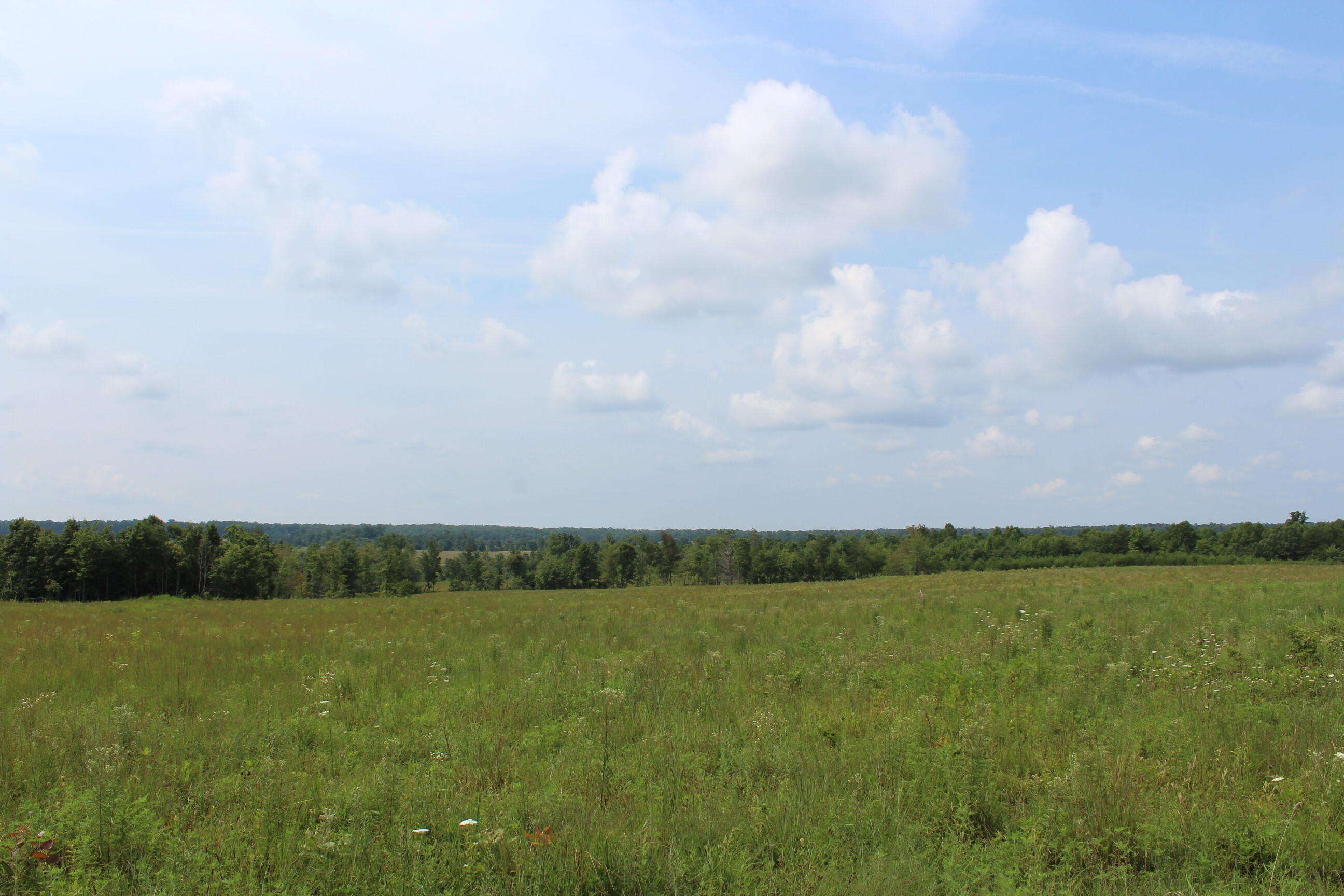 Crestview Lane Clarkrange, TN 38553 - Photo 14 of 19 repo 311