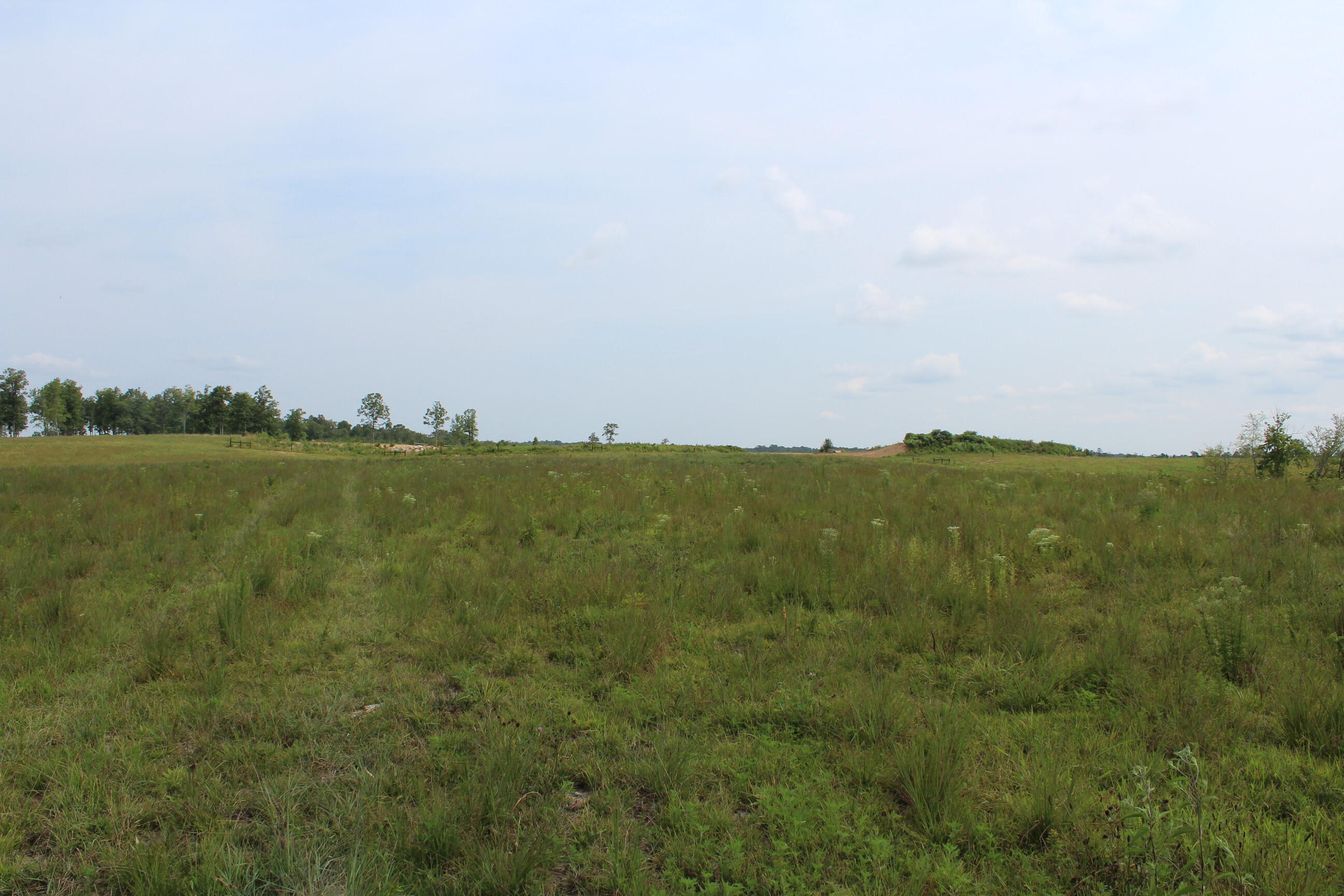 Crestview Lane Clarkrange, TN 38553 - Photo 3 of 19 repo 300