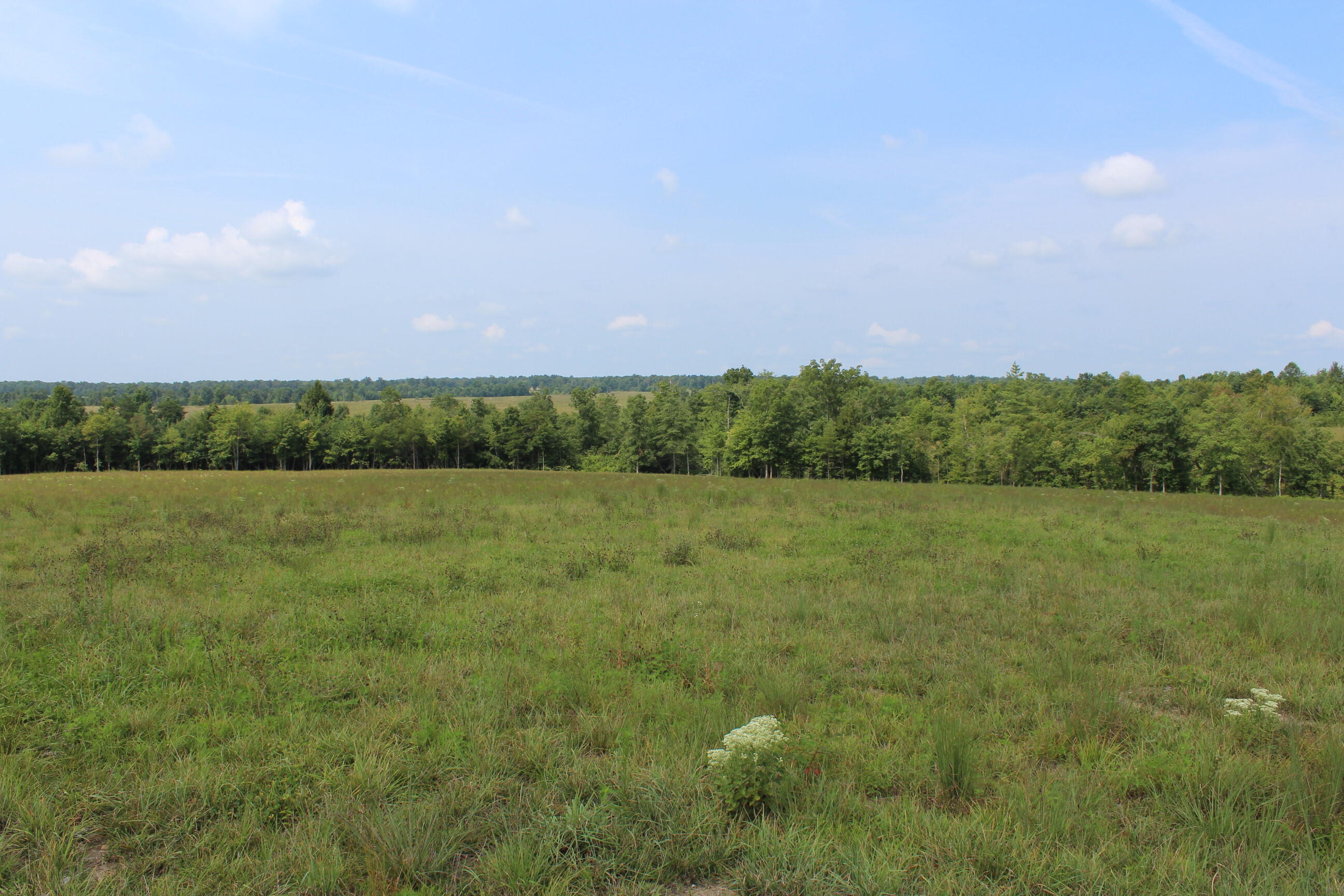 Crestview Lane Clarkrange, TN 38553 - Photo 4 of 19 repo 301