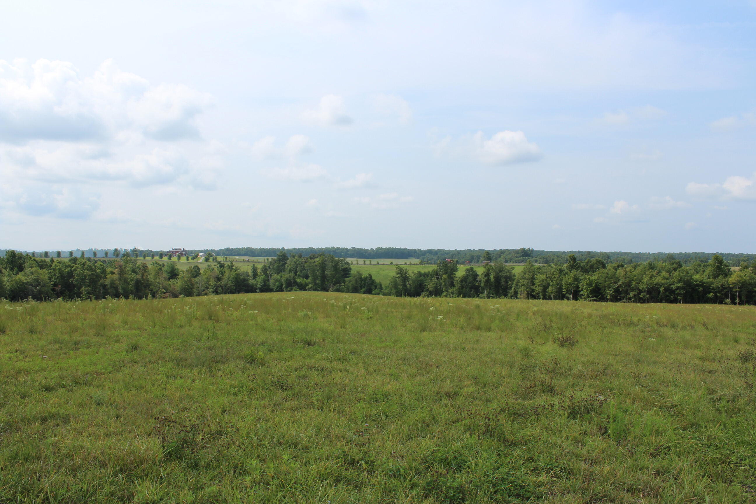 Crestview Lane Clarkrange, TN 38553 - Photo 5 of 19 repo 302