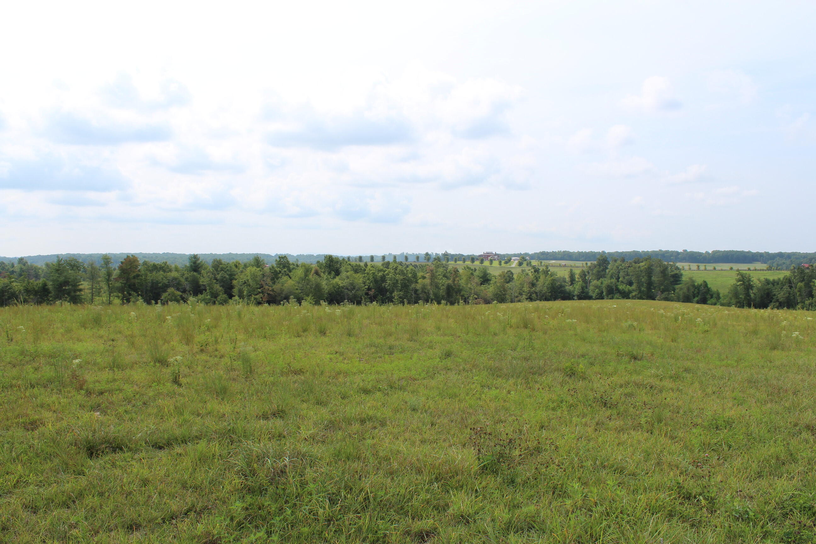 Crestview Lane Clarkrange, TN 38553 - Photo 6 of 19 repo 303