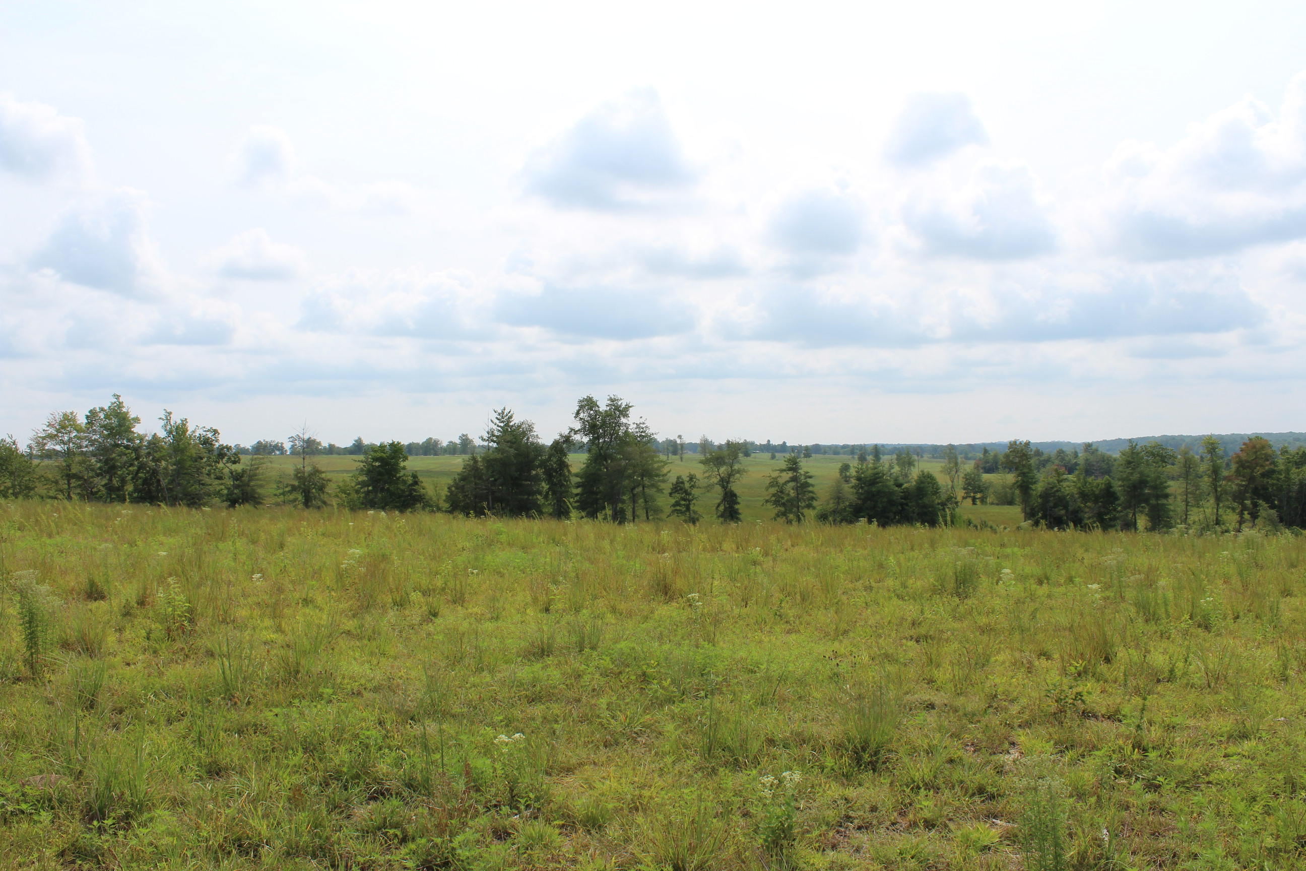 Crestview Lane Clarkrange, TN 38553 - Photo 7 of 19 repo 304