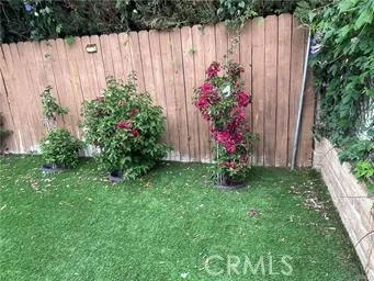 a view of garden with statue