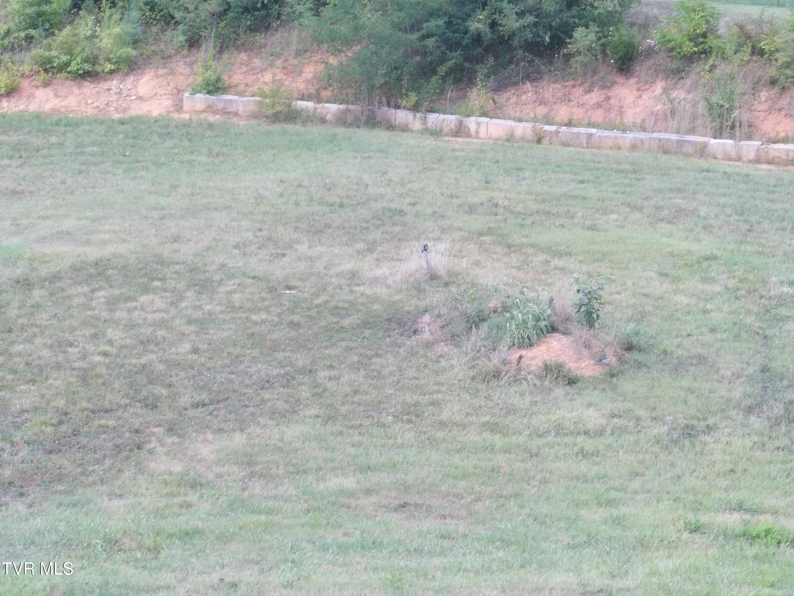 16 Silver Lake Road Church Hill, TN 37642 - Photo 13 of 13 100_1175