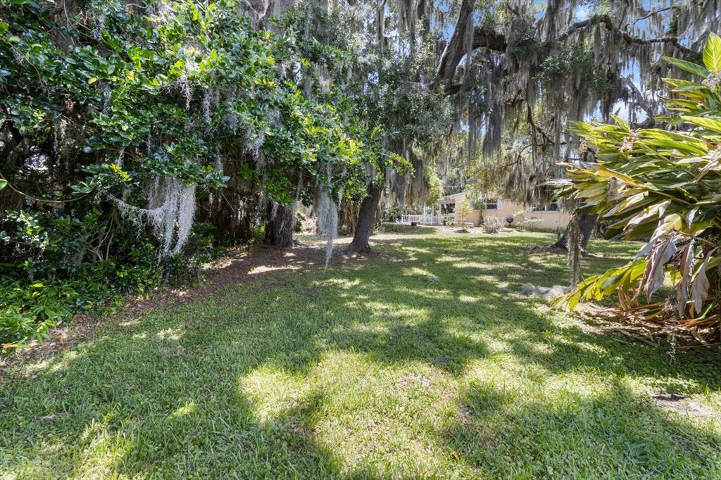 1226 South Telephone Point Road Inverness, FL 34450 - Photo 37 of 43 a big yard with lots of green space and trees