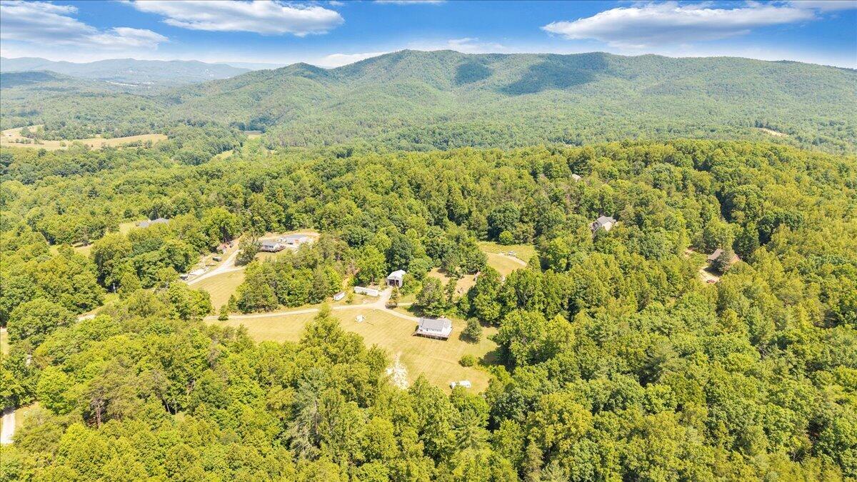 8501 Holly Tree Road Boones Mill, VA 24065 - Photo 48 of 59 48-DJI_20260622111721_0282_D