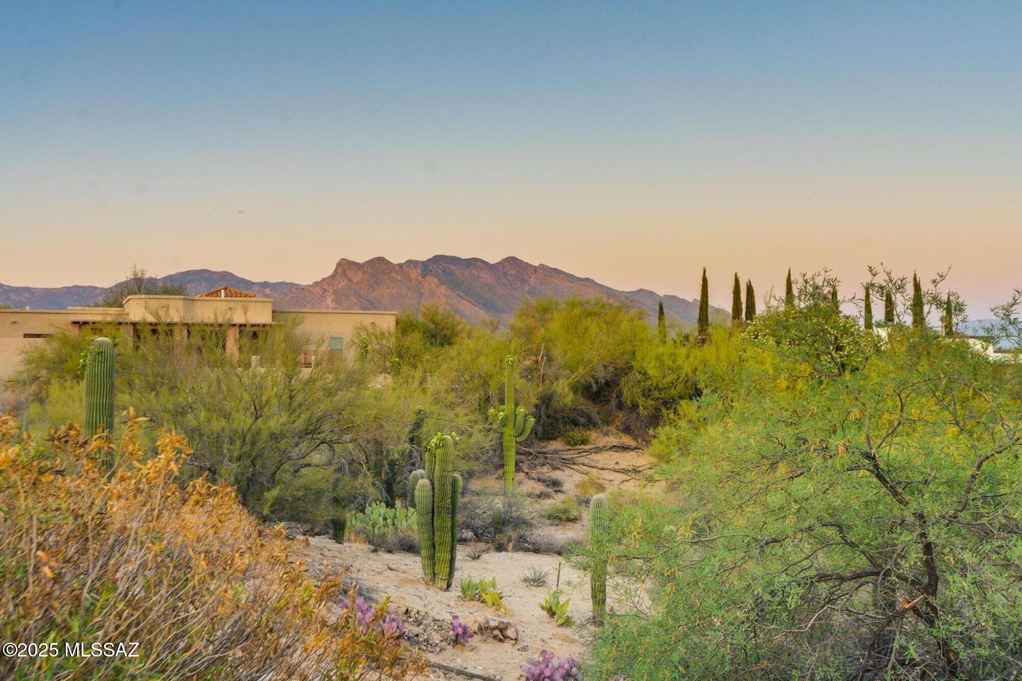 3181 West Magee Road Tucson, AZ 85741 - Photo 42 of 43 Gallery Image 42