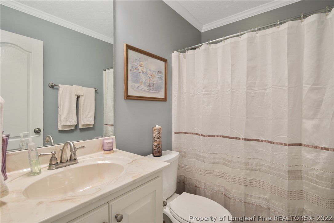 2511 Wade-Stedman Road Stedman, NC 28391 - Photo 39 of 47 a bathroom with a sink vanity mirror and toilet