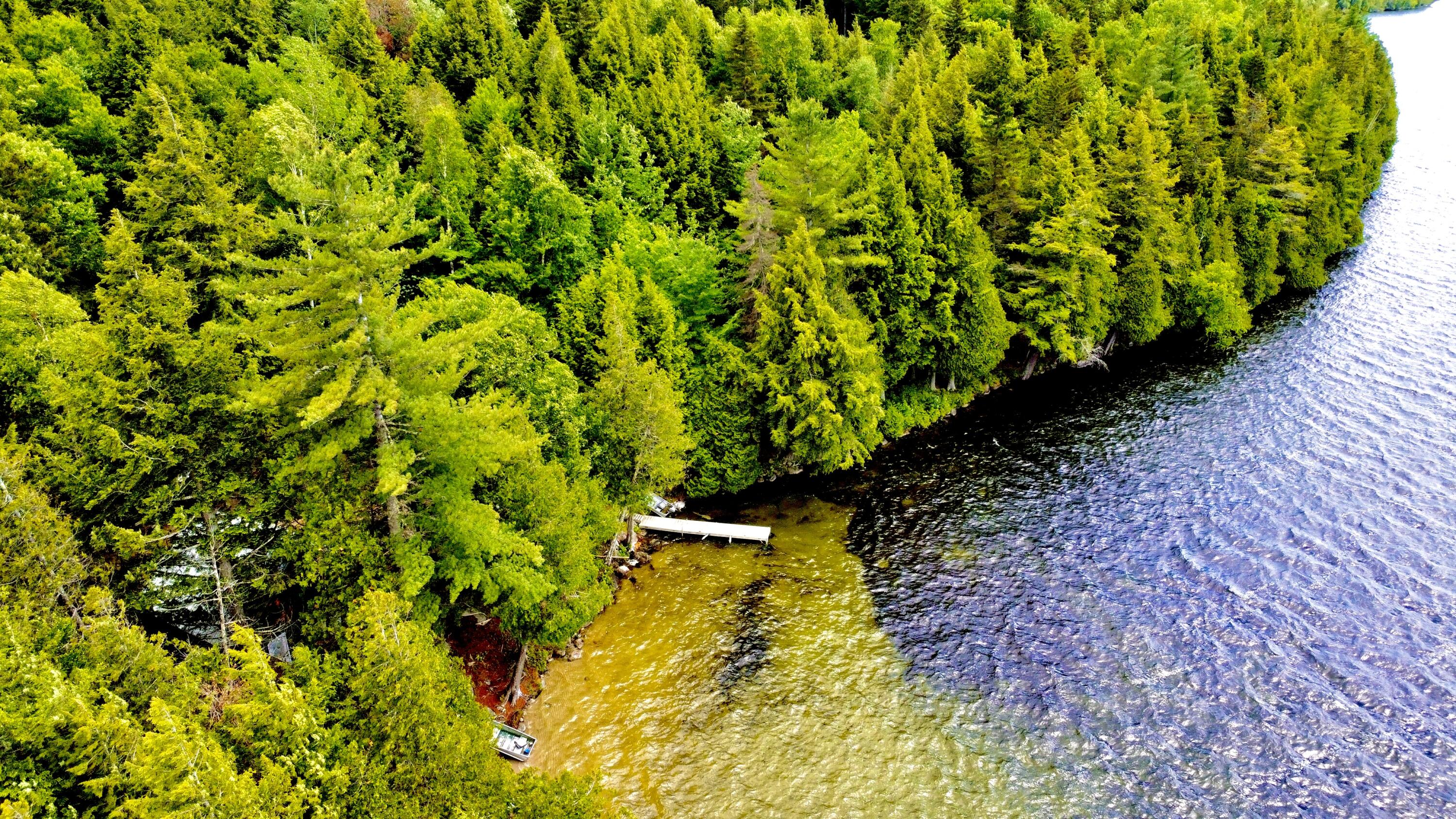 006 Plan 01 Avenue Millinocket, ME 04462 - Photo 20 of 31 dji_fly_20260619_144442_231_178189894608