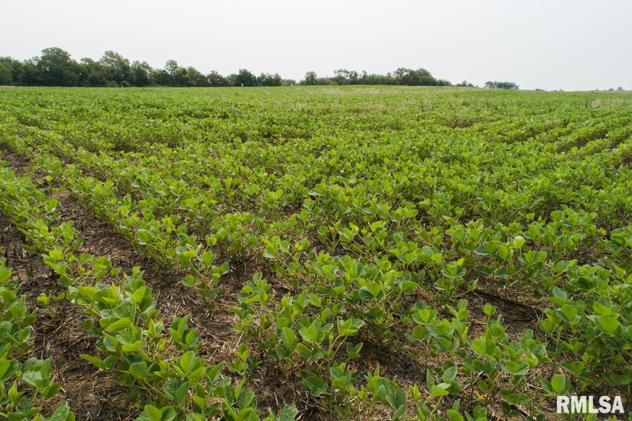 East 25th Road Marseilles, IL 61341 - Photo 12 of 23 Gallery Image 12