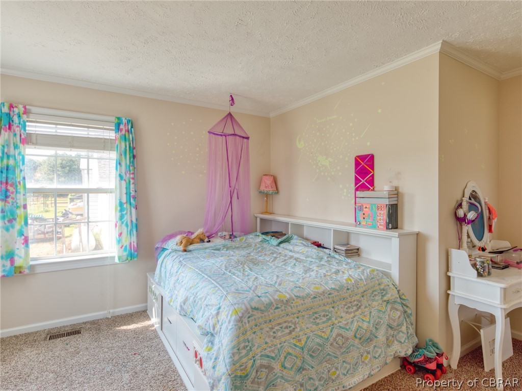 6522 Fire Tower Road Zuni, VA 23898 - Photo 12 of 41