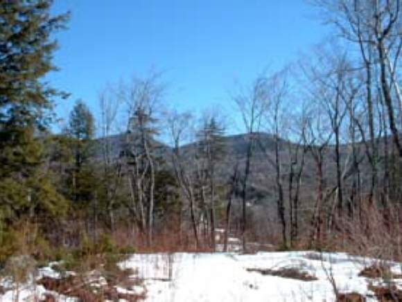 124 Old Jackson Road Jackson, NH 03846 - Photo 1 of 1 Gallery Image 1