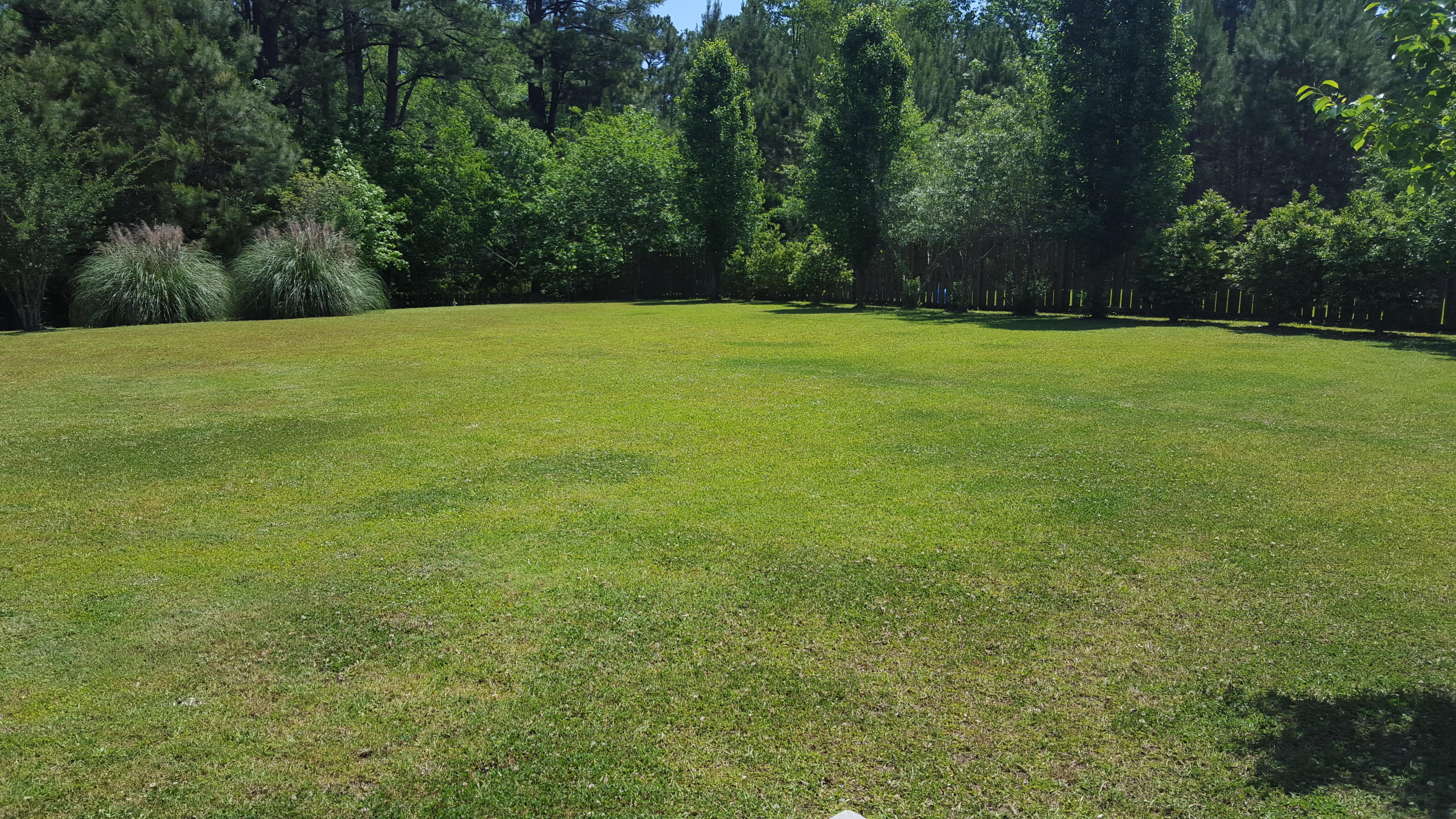 8031 Mckayla Road Summerville, SC 29483 - Photo 16 of 17 Mckayla 10 Backyard View