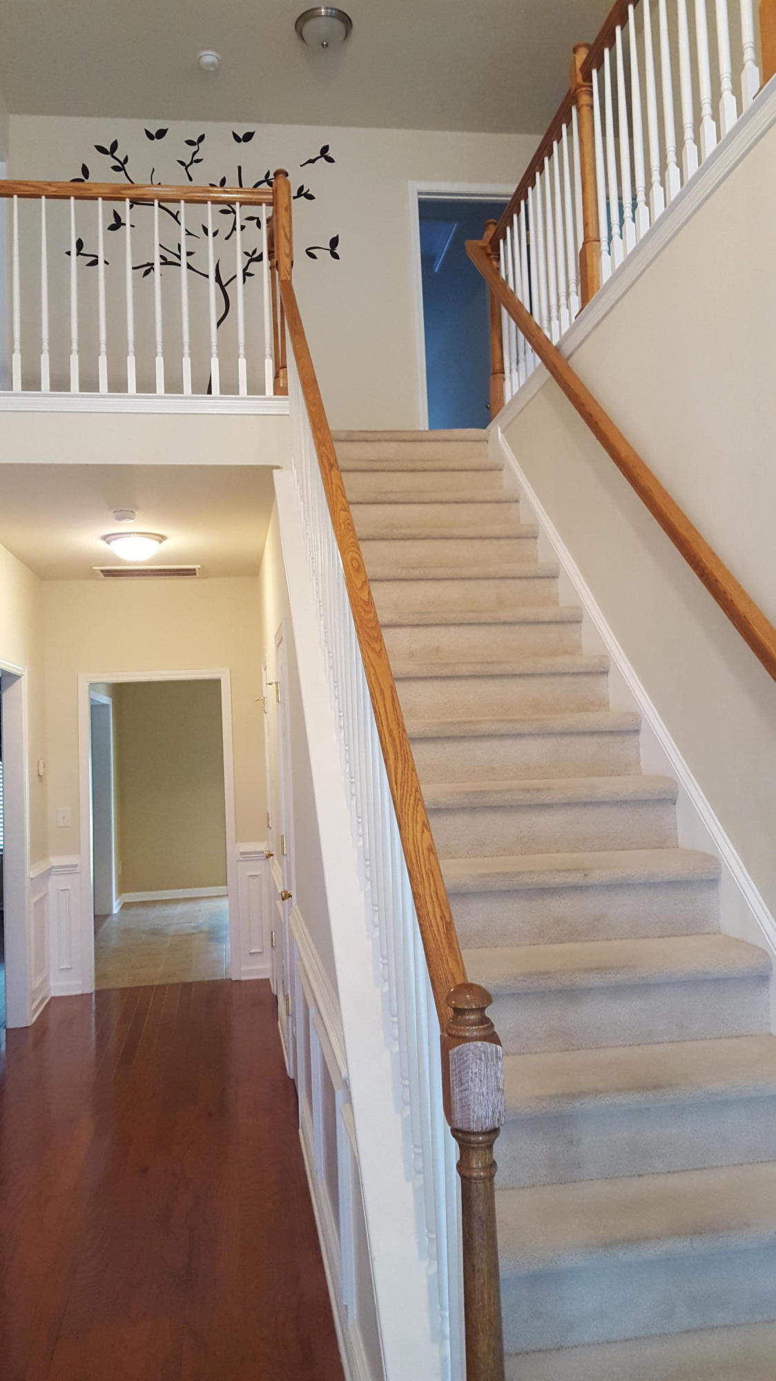 8031 Mckayla Road Summerville, SC 29483 - Photo 3 of 17 Mckayla 3 stair case