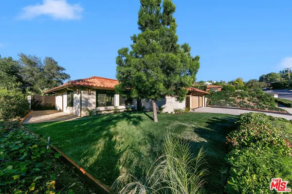 a view of a backyard with plants