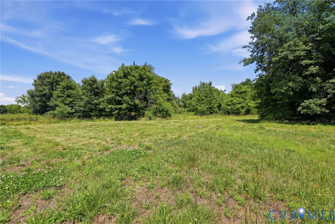 12740 Little Patrick Road Amelia Court House, VA 23002 - Photo 13 of 13