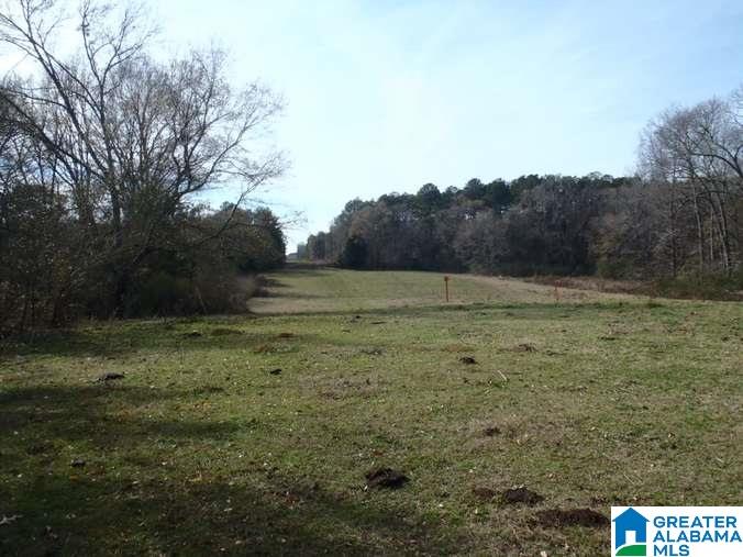 6510 Glovers Ferry Road Alpine, AL 35014 - Photo 25 of 25