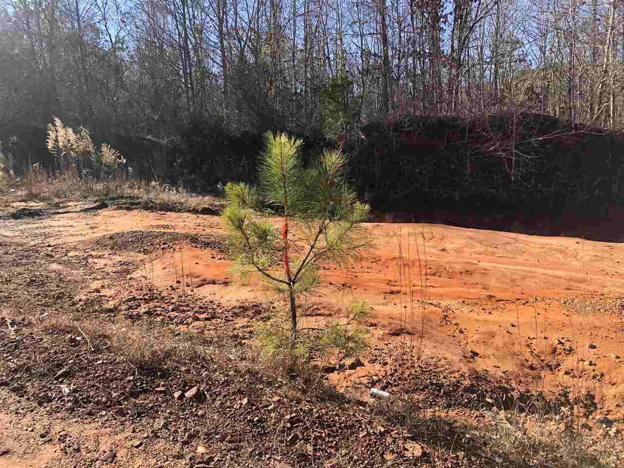 759 Rd Walnut, MS 38683 - Photo 4 of 5 Gallery Image 4