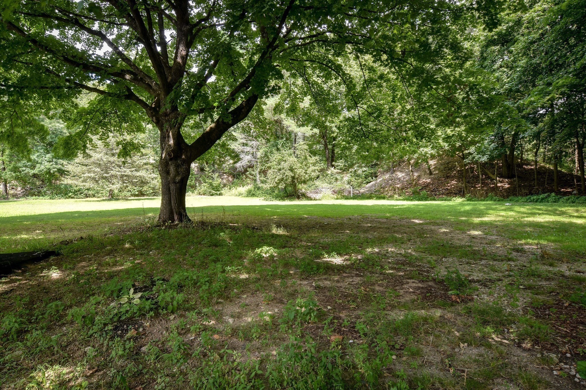 202 Boston Post Road Wayland, MA 01778 - Photo 31 of 38 Gallery Image 31