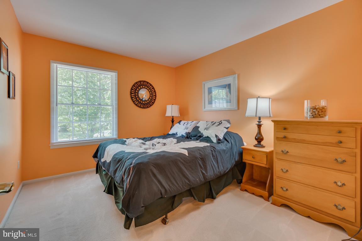 102 Ramsay Road Locust Grove, VA 22508 - Photo 28 of 53 Bedroom #2