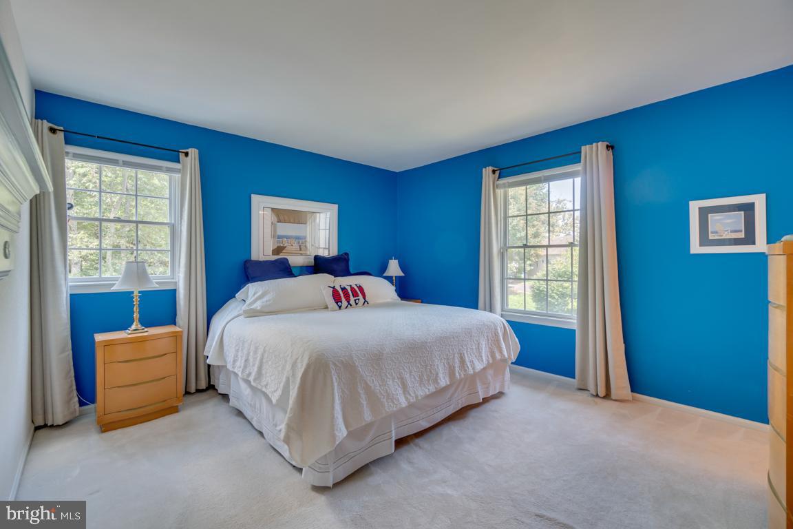 102 Ramsay Road Locust Grove, VA 22508 - Photo 32 of 53 Master Bedroom
