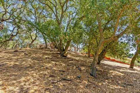 a view of outdoor space with trees