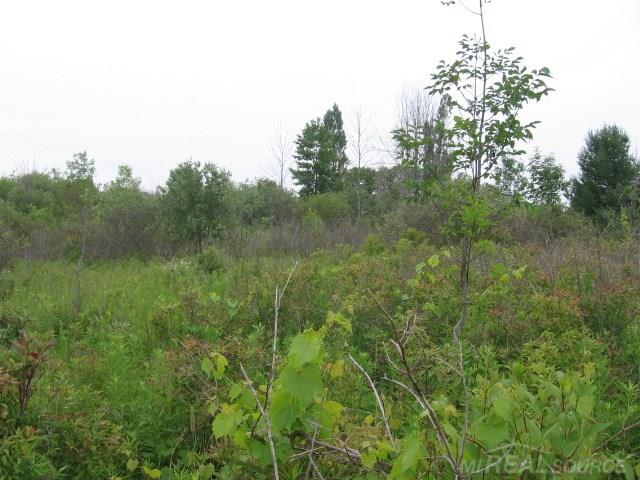 Tbd Sheridan Line Lexington, MI 48450 - Photo 6 of 14