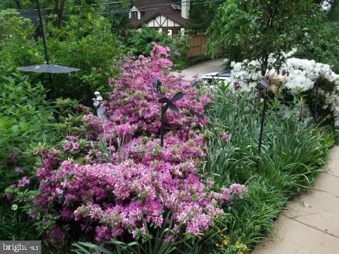 4 Sunnyside Road Silver Spring, MD 20910 - Photo 3 of 50 feature seasons' worth of plantings...