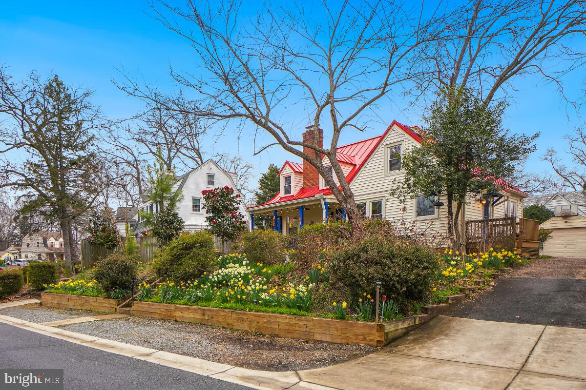 4 Sunnyside Road Silver Spring, MD 20910 - Photo 38 of 50 Colorful Plantings