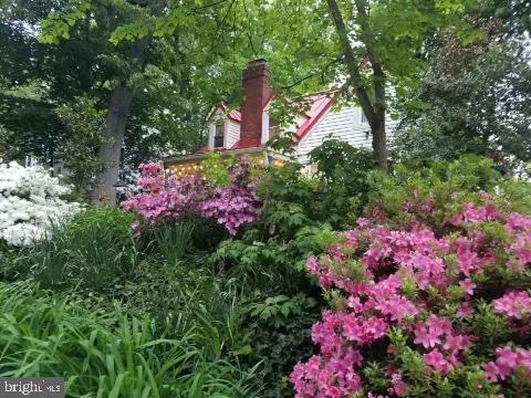 4 Sunnyside Road Silver Spring, MD 20910 - Photo 4 of 50 that make for a delight of color...