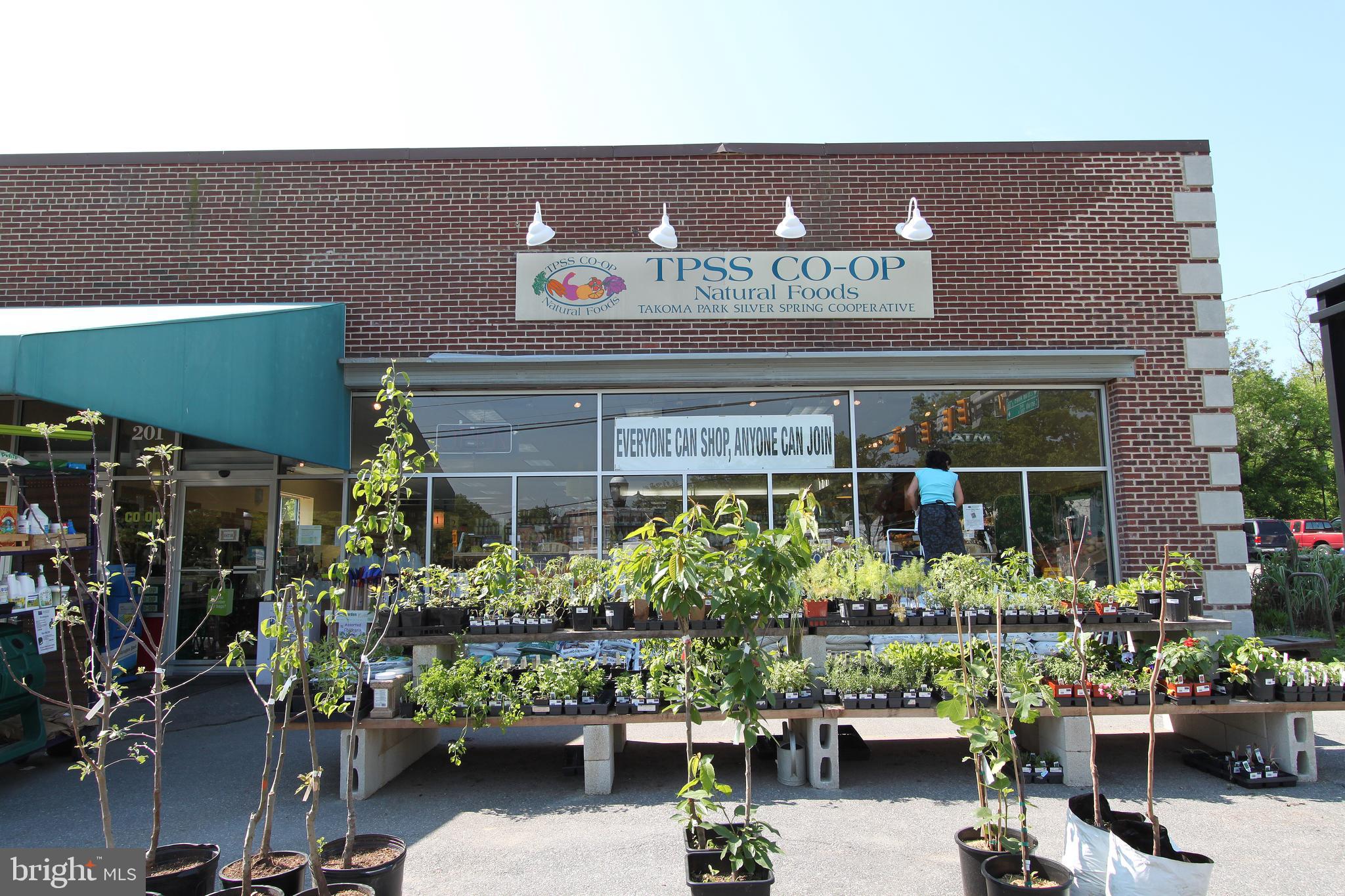 4 Sunnyside Road Silver Spring, MD 20910 - Photo 47 of 50 The Wonderful TPSS Co-Op