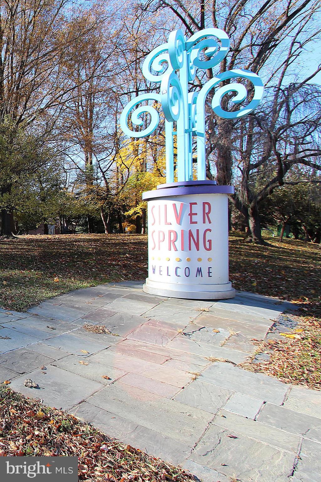 4 Sunnyside Road Silver Spring, MD 20910 - Photo 48 of 50 Near Downtown Silver Spring