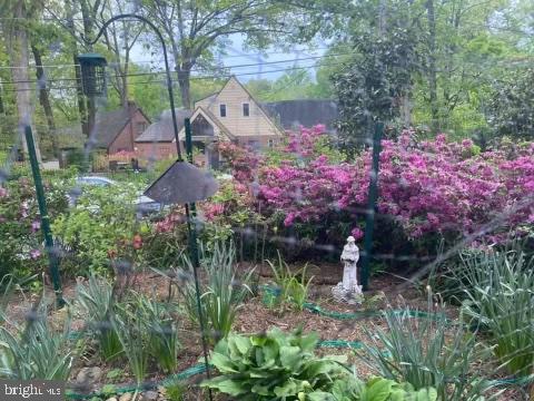 4 Sunnyside Road Silver Spring, MD 20910 - Photo 5 of 50 throughout the year!