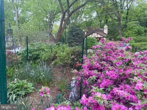 4 Sunnyside Road Silver Spring, MD 20910 - Photo 6 of 50