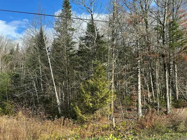 $100,000 | 135 Hemore Road, Ludlow, ME 04730