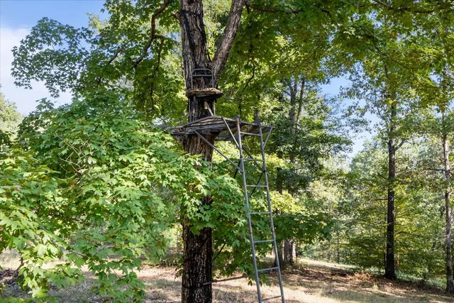 $515,000 | 116 Stewart Lane, Waverly, TN 37185