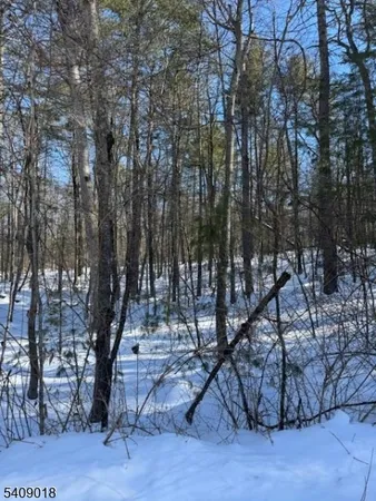$40,000 | 0 Martha Street, Branchville, NJ 07826
