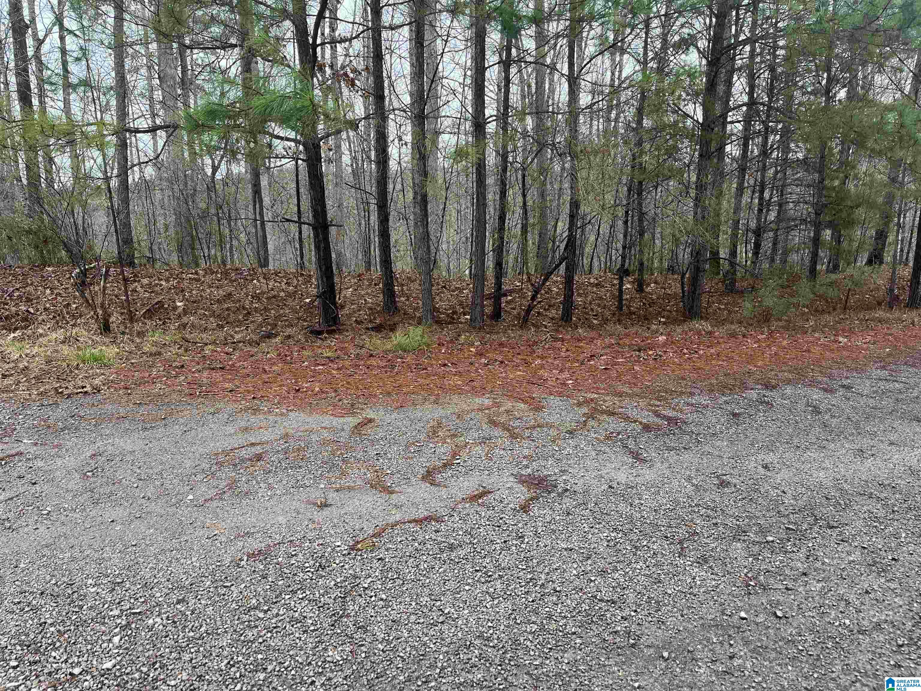 Lot 5 Little Dismal Road, Unit 5 Arley, AL 35541 - Photo 7 of 12