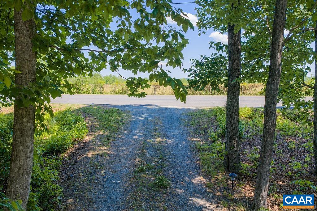 6920 Albevanna Spring Road Scottsville, VA 24590 - Photo 3 of 47 a view of a yard with plants and trees