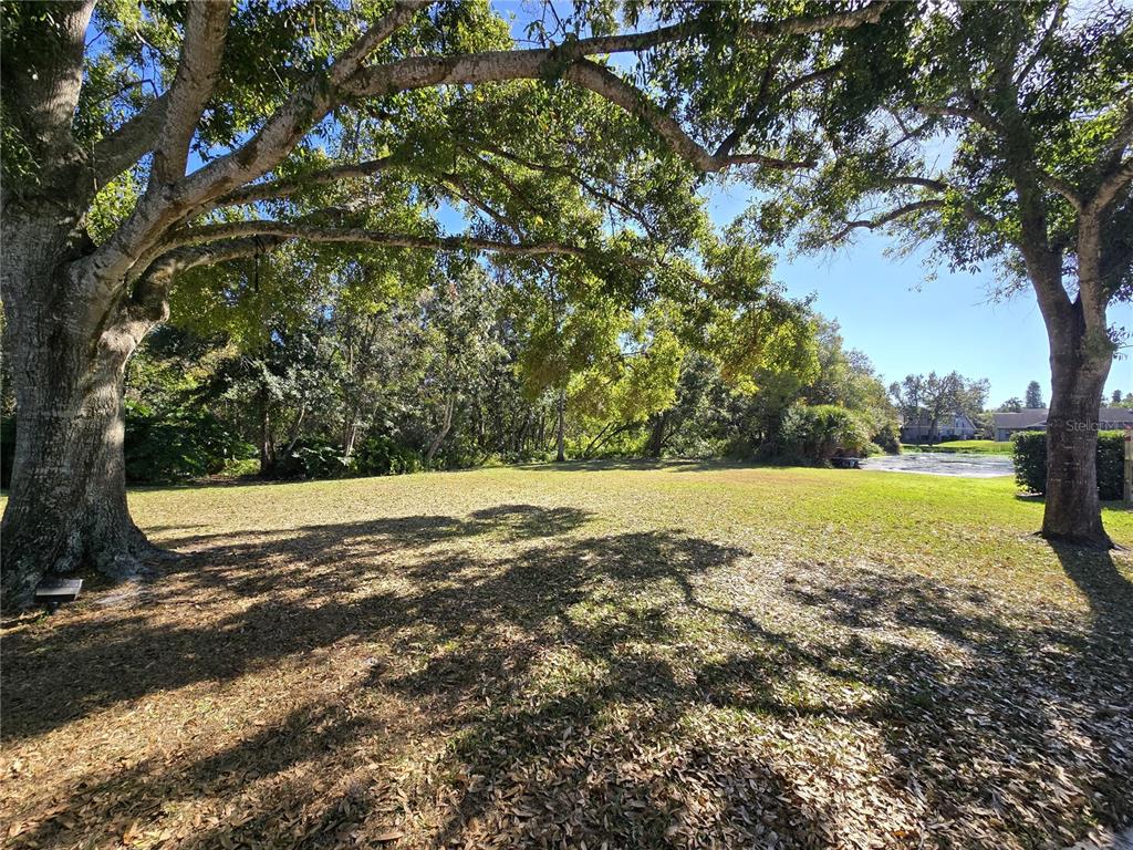 2940 Cypress Ridge Palm Harbor, FL 34684 - Photo 23 of 53 a view of yard with large trees