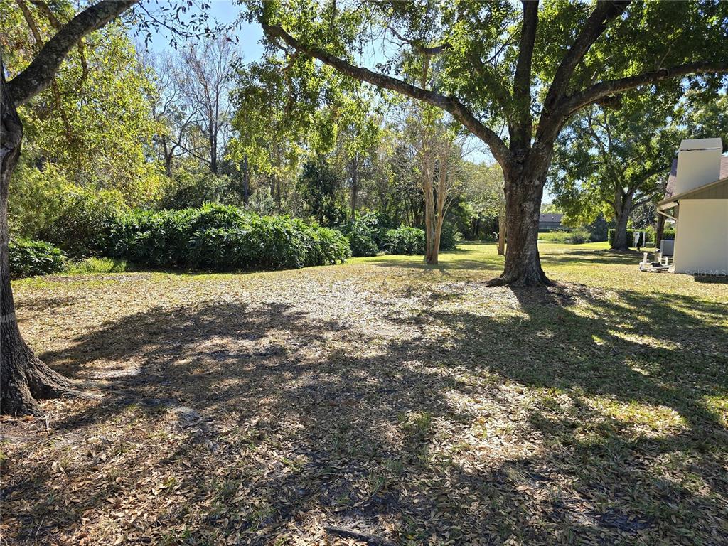 2940 Cypress Ridge Palm Harbor, FL 34684 - Photo 28 of 53 a view of a tree with a trees