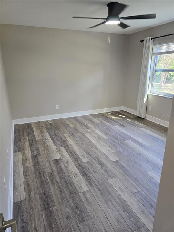 2940 Cypress Ridge Palm Harbor, FL 34684 - Photo 39 of 53 wooden floor in an empty room with a window