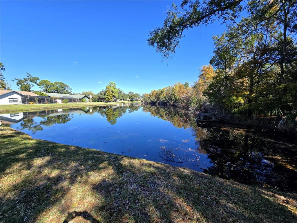 2940 Cypress Ridge Palm Harbor, FL 34684 - Photo 4 of 53 a view of a lake with a mountain in the background