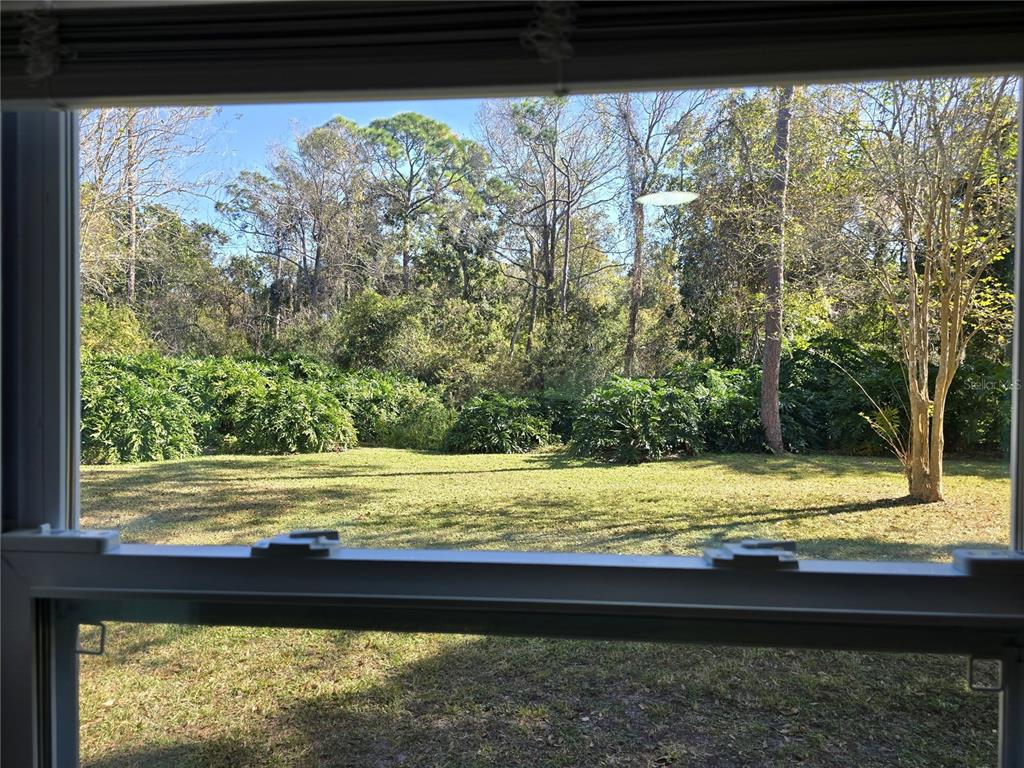 2940 Cypress Ridge Palm Harbor, FL 34684 - Photo 41 of 53 a view of a yard from a window