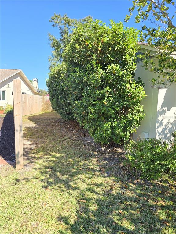 2940 Cypress Ridge Palm Harbor, FL 34684 - Photo 51 of 53 a view of a yard with an outdoor space