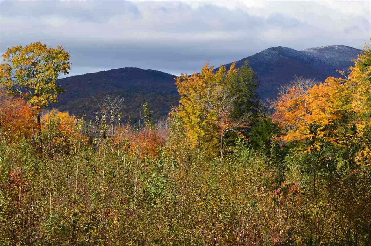 2 Mountain Road Tuftonboro, NH 03816 - Photo 2 of 4 Gallery Image 2