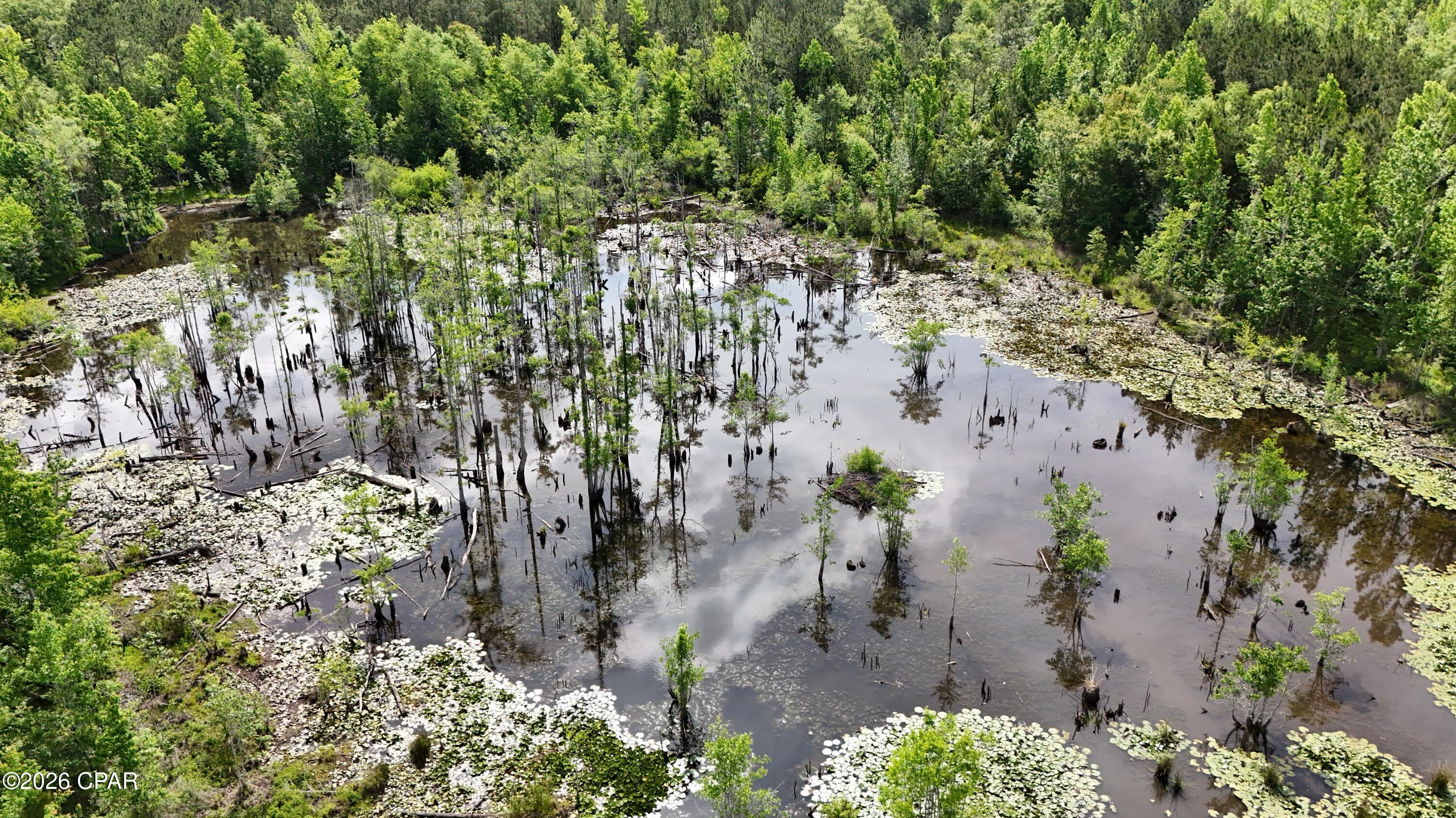 Xx Jj Whitaker Road Bonifay, FL 32425 - Photo 10 of 11