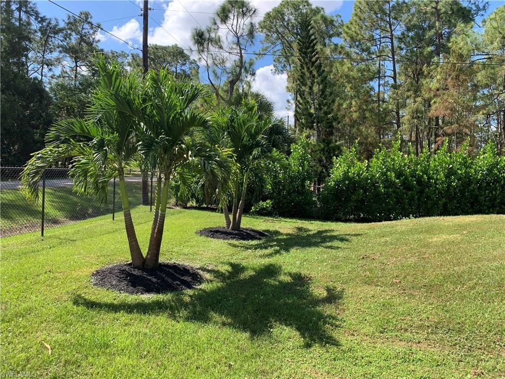 3651 29th Avenue Southwest Naples, FL 34117 - Photo 6 of 49 a view of a garden with a tree