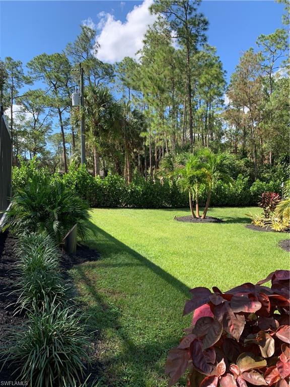 3651 29th Avenue Southwest Naples, FL 34117 - Photo 8 of 49 a view of a park with large trees